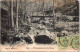 18-4-2024 (2 Z 23) Belgium (2 Thin Postcards)  Posted Around 1910 - Forest / Woods - Arbres