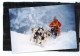 Diapositive Et Photo Originale .  Chiens De Traineaux  , HUSKY ,  MALAMUTE D'ALASKA .. Photos  VINITZKY VLADIMIR   1987 - Luoghi