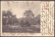 RO 36 - 24950 CHISINAU-CRIS, Arad, Park, Bridge, Romania - Old Postcard - Used - 1905 - Romania