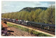 CHEMINS DE FER FRANCAIS - TRAIN AUTO-COUCHETTES  (carte Photo) - Trains