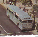 Jamaïque JAMAICA King Street KINGSTON PUB By The Novelty Trading Co Ltd En 1969 VOIR ZOOM Bus Ancien Beau Timbre - Giamaica