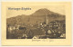 Reutlingen / Germany: Partial View With Achalm (Vintage PC 1911) - Reutlingen