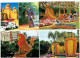 Delcampe - Lot 16 Cpm - MENTON - Fête DU CITRON Brésil JAPON GRECE ESPAGNE ROI LION ECOSSE - Carnevale