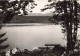 FRANCE - Le Lac Pavin - Volcan Quaternaire - Carte Postale Ancienne - Autres & Non Classés