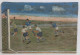 69687 Quadro Ad Olio Su Legno - Inghilterra - Italia 3-2 Goal Di Meazza - 52x36 - Oelbilder