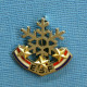 1 BROCHE /  ** BROCHE E.S.F. / ÉCOLE DU SKI FRANÇAIS FLOCON 3 ÉTOILES ** . (DECAT PARIS) - Wintersport