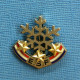 1 BROCHE /  ** BROCHE E.S.F. / ÉCOLE DU SKI FRANÇAIS FLOCON 3 ÉTOILES ** . (DECAT PARIS) - Sport Invernali