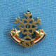 1 BROCHE /  ** BROCHE E.S.F. / ÉCOLE DU SKI FRANÇAIS FLOCON 2 ÉTOILES ** . (DECAT PARIS) - Invierno