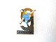 PIN'S   OLYMPIQUE DE MARSEILLE  9 FOIS CHAMPION DE FRANCE  SAISON 91 92 - Calcio