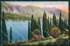 Brescia Salò Lago Di Garda Cipressi Cartolina RT1239 - Brescia