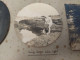 (18/04/24) 44-PHOTOS PREFAILLES - ENSEMBLE DE 42 PHOTOS DE FAMILLES à PREFAILLES EN 1925 - Préfailles