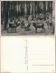 Ansichtskarte Moritzburg Hirschfütterung Im Wald 1938 - Moritzburg