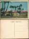 Postcard Bechar بشار ⴱⴻⵛⵛⴰⵔ Dans La Palmeraie 1930 - Non Classés