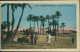 Postcard Bechar بشار ⴱⴻⵛⵛⴰⵔ Dans La Palmeraie 1930 - Non Classés