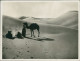 Kairo القاهرة Kamel Und Menschen Um Lagerfeuer In Der Wüste 1928 - Le Caire