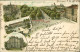 Litho AK Hannover Litho AK: Heerhauser Allee, Schloss, Palmengarten 1898  - Hannover