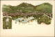 Ansichtskarte Litho AK Eisenach 3 Bild Litho: Stadt Und Umland 1902  - Eisenach