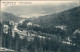 Ansichtskarte Waldbärenburg-Altenberg (Erzgebirge) Blick Auf Die Stadt 1916  - Altenberg