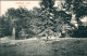 Ansichtskarte Northeim Haus, Parkpartie - Gesundbrunnen 1913  - Northeim