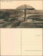 Ansichtskarte Seußlitz-Nünchritz (Elbe) Blick Vom Pilz 1911 - Diesbar-Seusslitz