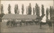 Postcard Fünfkirchen Pécs (Pe&#269;uh) Pferde, Bauer Und Gestüt 1926  - Ungarn