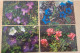 Lot De 8 Cartes "Jolies Fleurs Des Montagnes" Yvon Flore - Flowers