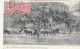 Delcampe - Nouvelle Calédonie - 1900 - 1977 - Collection De 13 Cartes Et Enveloppes - 26 Scans - Collections, Lots & Series