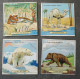 20 Images Chromos  Félix Potin  Système Pop Up  Prédécoupées  Decoupage Peuvent Tenir Debout Animaux   8x8 Cm - Andere & Zonder Classificatie