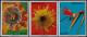 Paraguay 1974 Y&T 1346 à 1352 Surchargés MUESTRA, Spécimen. Fleurs : Passiflore, Dahlia, Oiseau De Paradis, Freesia... - Orchidee