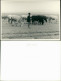 Bulgarien (allgemein) Trachten/Typen (Bulgarien) Hirte 1955 Privatfoto  - Bulgaria