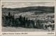 Tambach-Dietharz Panorama-Ansicht Mit Thüringer Wald Blick 1951 - Tambach-Dietharz