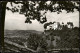 Ansichtskarte Lenzburg Panorama Mit Schloß Gegen D. Staufberg 1960 - Sonstige & Ohne Zuordnung