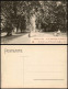 Ansichtskarte Biebrich-Wiesbaden Die Alte Kastanienallee Im Schloßpark 1910 - Wiesbaden