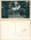 Ansichtskarte Waldenburg (Sachsen) Partie Aus Dem Fürstlichen Lustgarten 1928 - Waldenburg (Sachsen)