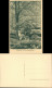 Bad Gottleuba-Berggießhübel Gottleubatal Bank An Gottleuba Baum Mit Schild 1928 - Bad Gottleuba-Berggiesshuebel