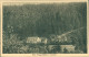 Ansichtskarte Zwiesel-Bad Gottleuba-Berggießhübel Häuser Am Waldrand 1928 - Bad Gottleuba-Berggiesshübel