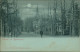 Postkaart Apeldoorn Straßenpartie - Mondscheinlitho 1900 - Apeldoorn