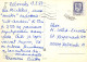 FLEURS Vintage Carte Postale CPSM #PAS507.A - Fiori