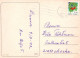 FLORES Vintage Tarjeta Postal CPSM #PAS575.A - Fiori