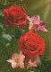 FLOWERS Vintage Postcard CPSM #PAS059.A - Fiori