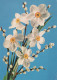 FLOWERS Vintage Ansichtskarte Postkarte CPSM #PAR022.A - Flowers