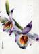 FLOWERS Vintage Postcard CPSM #PBZ029.A - Bloemen