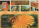 FLORES Vintage Tarjeta Postal CPSM #PBZ095.A - Flowers