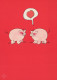 PIGS Animals Vintage Postcard CPSM #PBR779.A - Cerdos