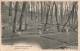 FRANCE - Parc De Saint Cloud - Derrière Le Grand Jet - Vue D'ensemble - Arbres - Carte Postale Ancienne - Saint Cloud