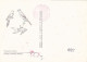 ANIMALS, BIRDS, PARROTS, SUN PARAKEET, CM, MAXICARD, CARTES MAXIMUM, OBLIT FDC, 1991, ROMANIA - Papageien