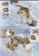 ANIMALS, BIRDS OF PREY, FALCON, OWL, EAGLE, HAWK, CM, MAXICARD, CARTES MAXIMUM, OBLIT FDC, X5, 2007, ROMANIA - Arends & Roofvogels