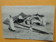 Cpa Algérie -- SUD ORANAIS -- Fabricants De Tapis - Cpa 1909 - ANIMEE - Oran
