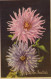FLOWERS Vintage Postcard CPA #PKE567.GB - Blumen