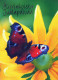 BUTTERFLIES Animals Vintage Postcard CPSM #PBS420.GB - Butterflies